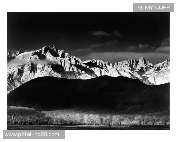 亚当斯的传奇人生与影响力探讨:从个人成就到社会贡献的全面分析 亚当斯的传奇人生与影响力探讨:从个人成就到社会贡献的全面分析